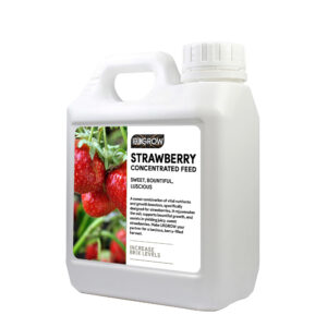 UKGROW Strawberry Feed - Sweeten Your Harvest